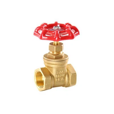 Misiņa sieviešu vārsts